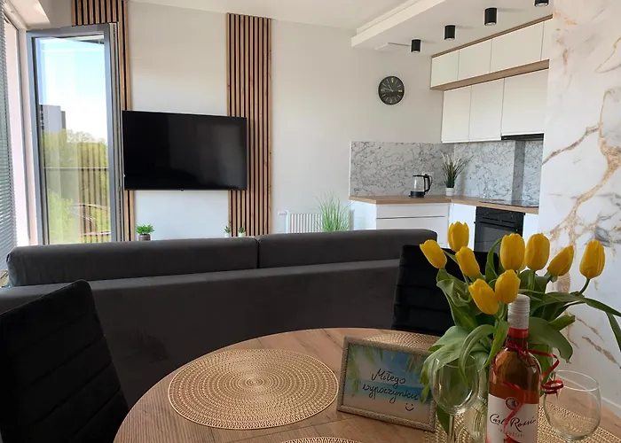 Apartment Aquapark Gold 8 *